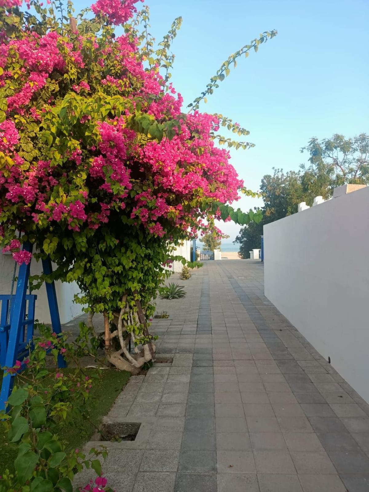 Al-Ashkhara Beach Resort منتجع شاطئ الأشخرة Al Sharqiyah Exterior photo